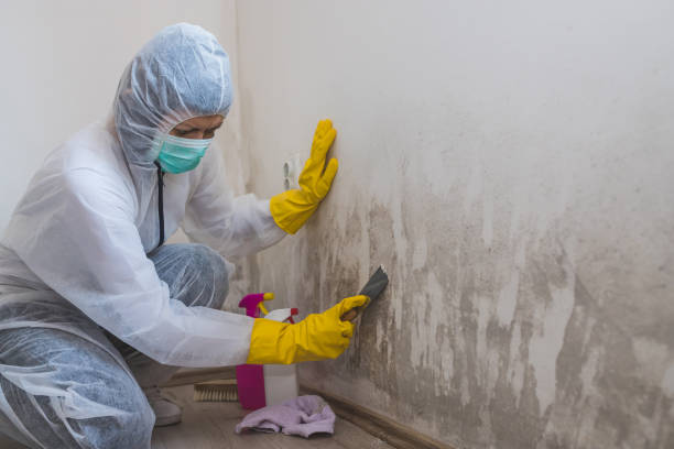 Mold Testing and Removal in Austell, GA