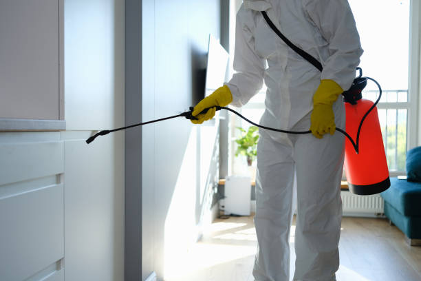Best Certified Mold Removal  in Austell, GA