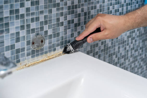 Best Professional Mold Removal  in Austell, GA