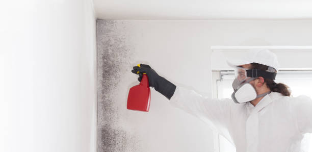Certified Mold Removal in Austell, GA