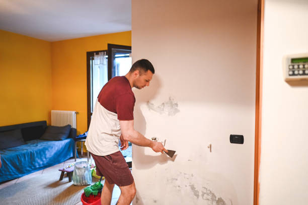 Best Mold Removal Near Me  in Austell, GA